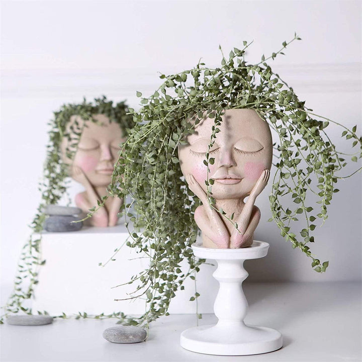 Ansiktsblomsterpotte for Innendørs Bruk