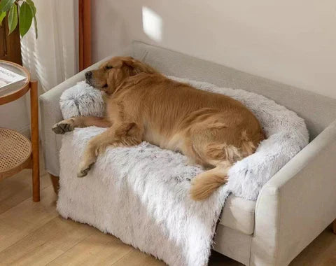 Koselig Beroligende Sofatrekk for Hund og Katt