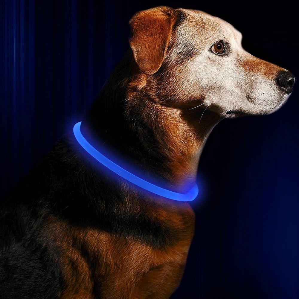 Hunde LED Halsbånd med USB-Lading for Økt Synlighet
