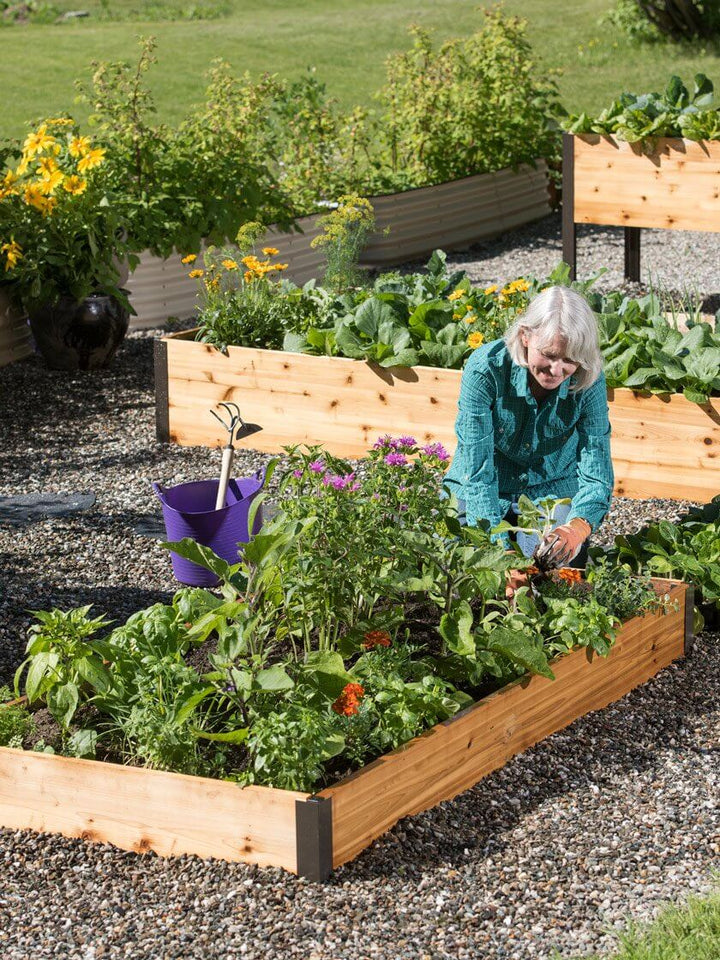 Plantenæring for Sunn Vekst og Frodig Blomstring