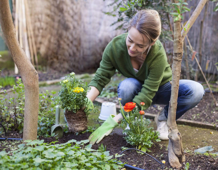 Plantenæring for Sunn Vekst og Frodig Blomstring