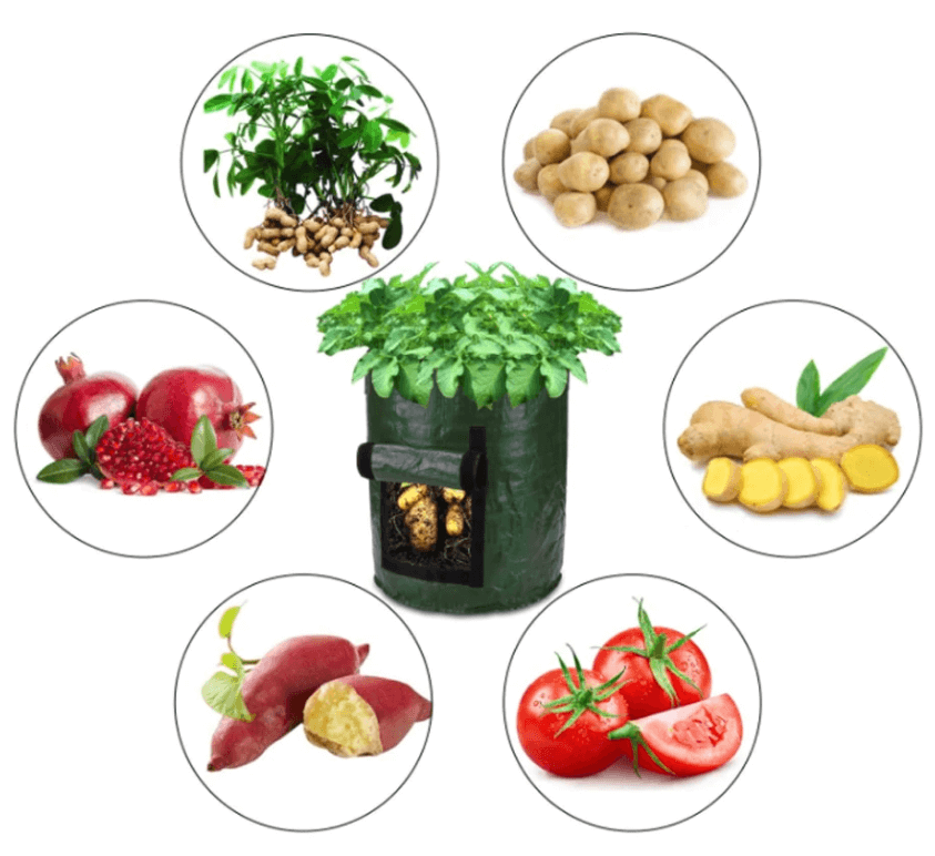 Dyrk Poteter Hjemme: Smart Potetdyrkingspose for Terrasse &amp; Balkong