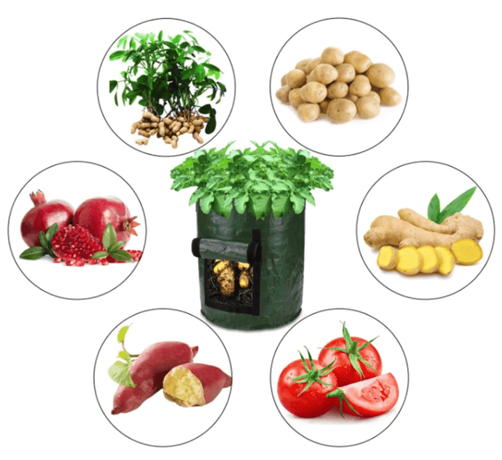 Dyrk Poteter Hjemme: Smart Potetdyrkingspose for Terrasse &amp; Balkong